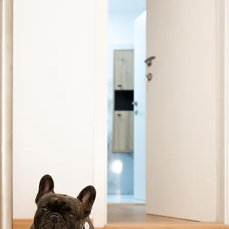 דירה Lev איזולה